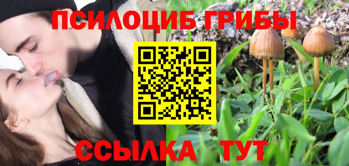 Галлюциногенные грибы прущие грибы  Вход с VPN  Псилоцибиновые грибы мухоморы  Семёнов 